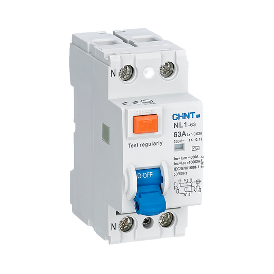 Chint 6kA 3P+N 80A Earth Leakage 100mA NL1-100-4P-080-100mA