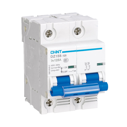 Chint 6kA 2P 100A Circuit Breaker C-Curve AC/DC DZ158-2P-C100-06
