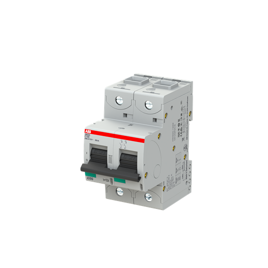 ABB S802S-C100 High Performance MCB 2CCS862001R0824